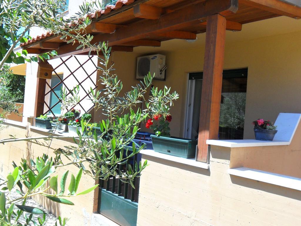טרוגיר Apartment Ivan חדר תמונה